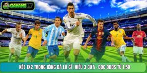Kèo 1X2 Trong Bóng Đá Là Gì | Hiểu 3 Cửa - Đọc Odds Từ 1.50
